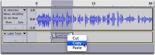 image of contextual menu in a label with Copy selected
